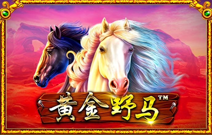 4556银河国际线路测试